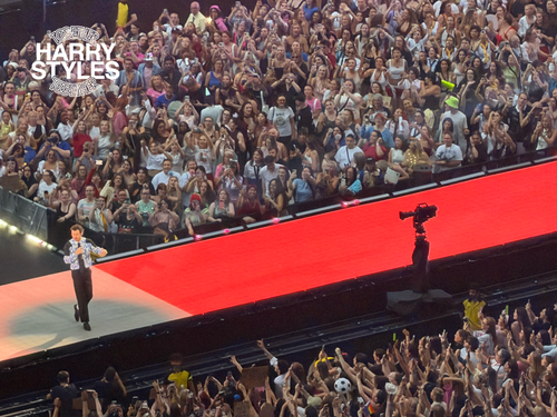Harry Styles UC2